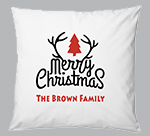 200mm² Scatter Cushion